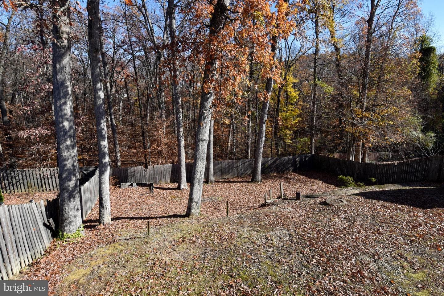 14223 Bismark Avenue photo 42