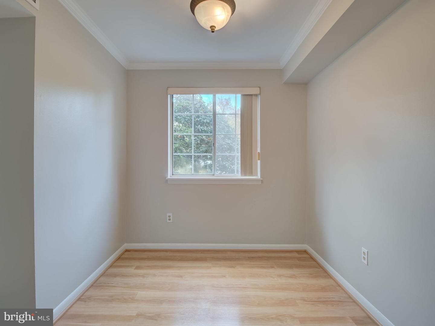 1523 Colonial Drive #104 photo 6