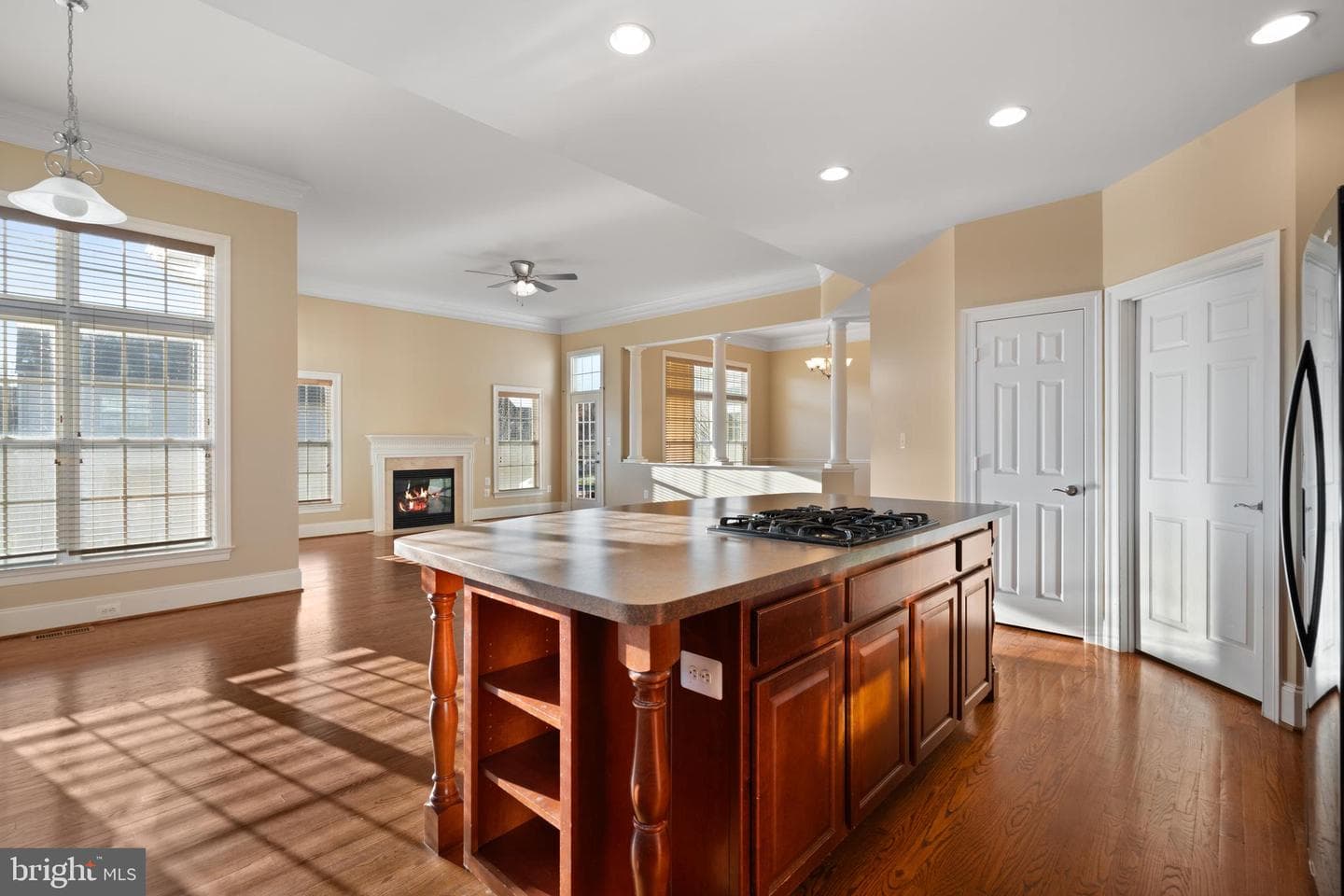 14410 Broadwinged Drive photo 22