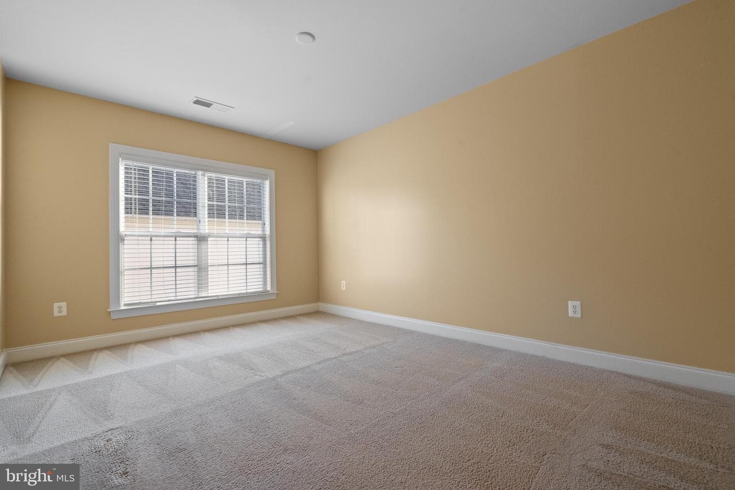 14410 Broadwinged Drive photo 39