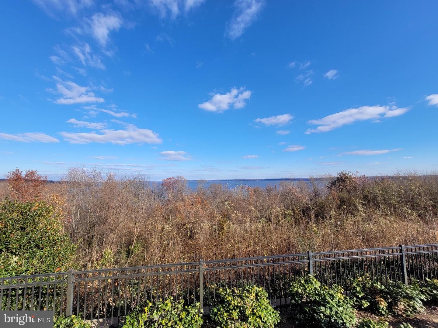 2024 Silver Sycamore Lane photo 90