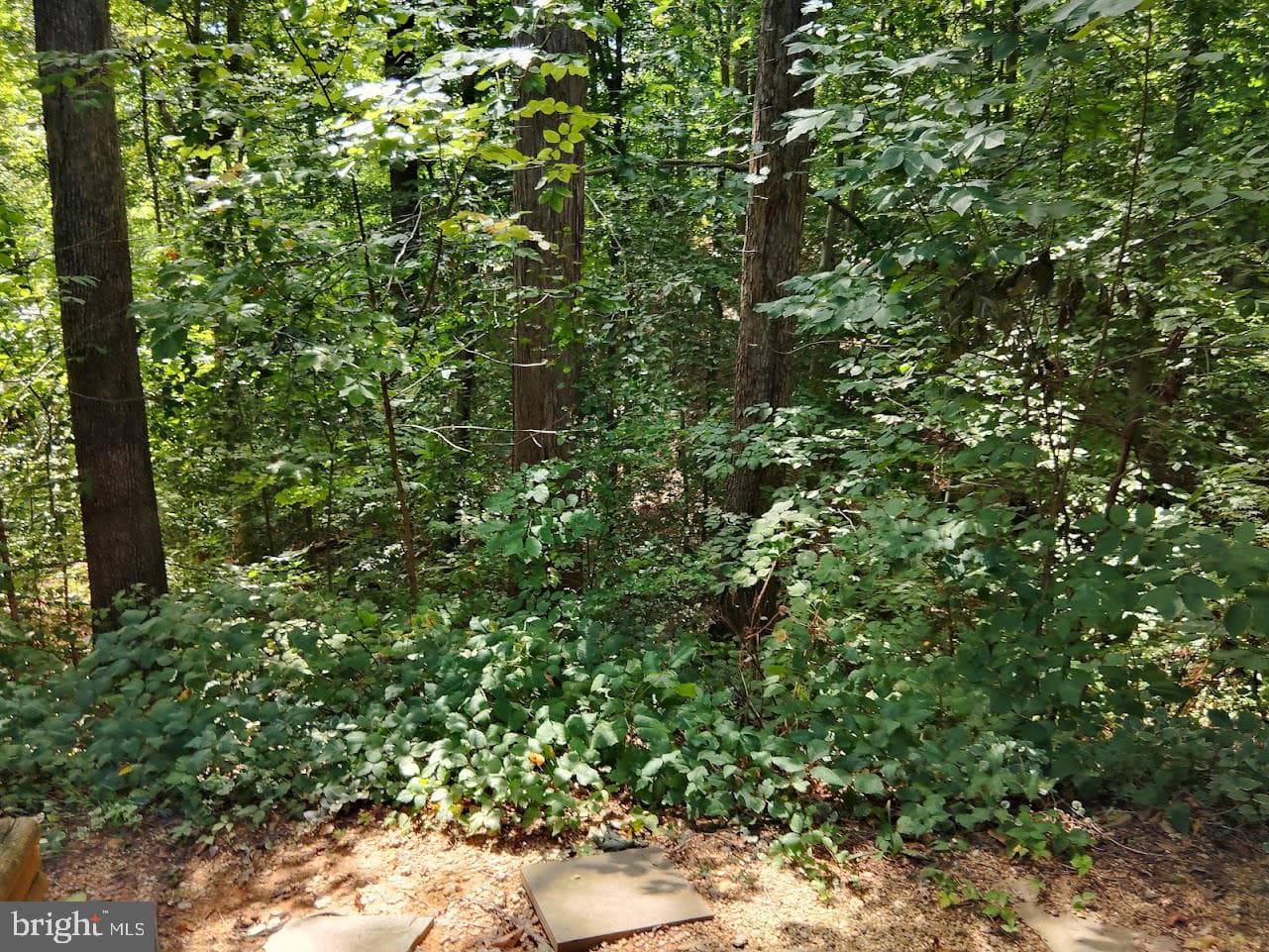 15368 Inlet Place photo 33