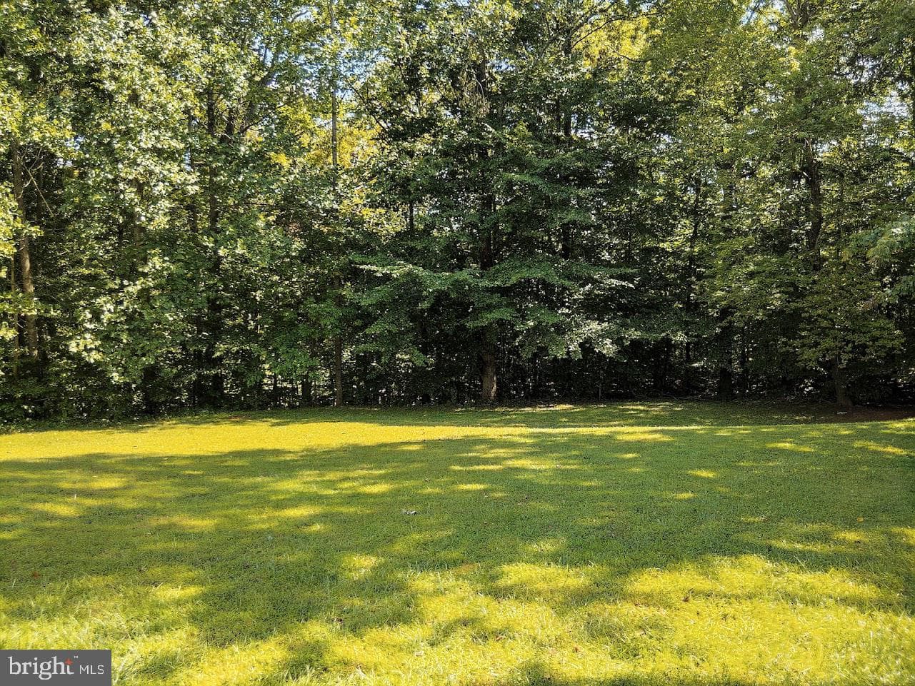 15368 Inlet Place photo 5