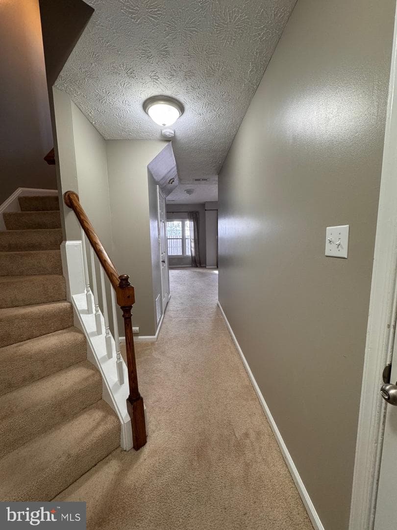 8052 Hilliard Drive photo 41