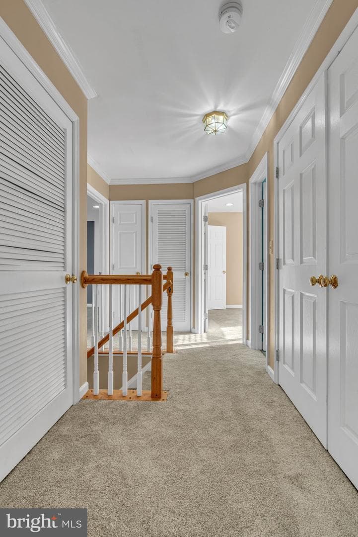 3345 Mountain Laurel Loop photo 21