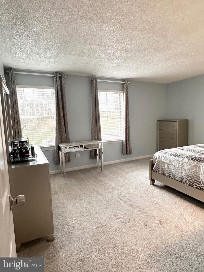 12189 Chaucer Lane #12189 photo 10