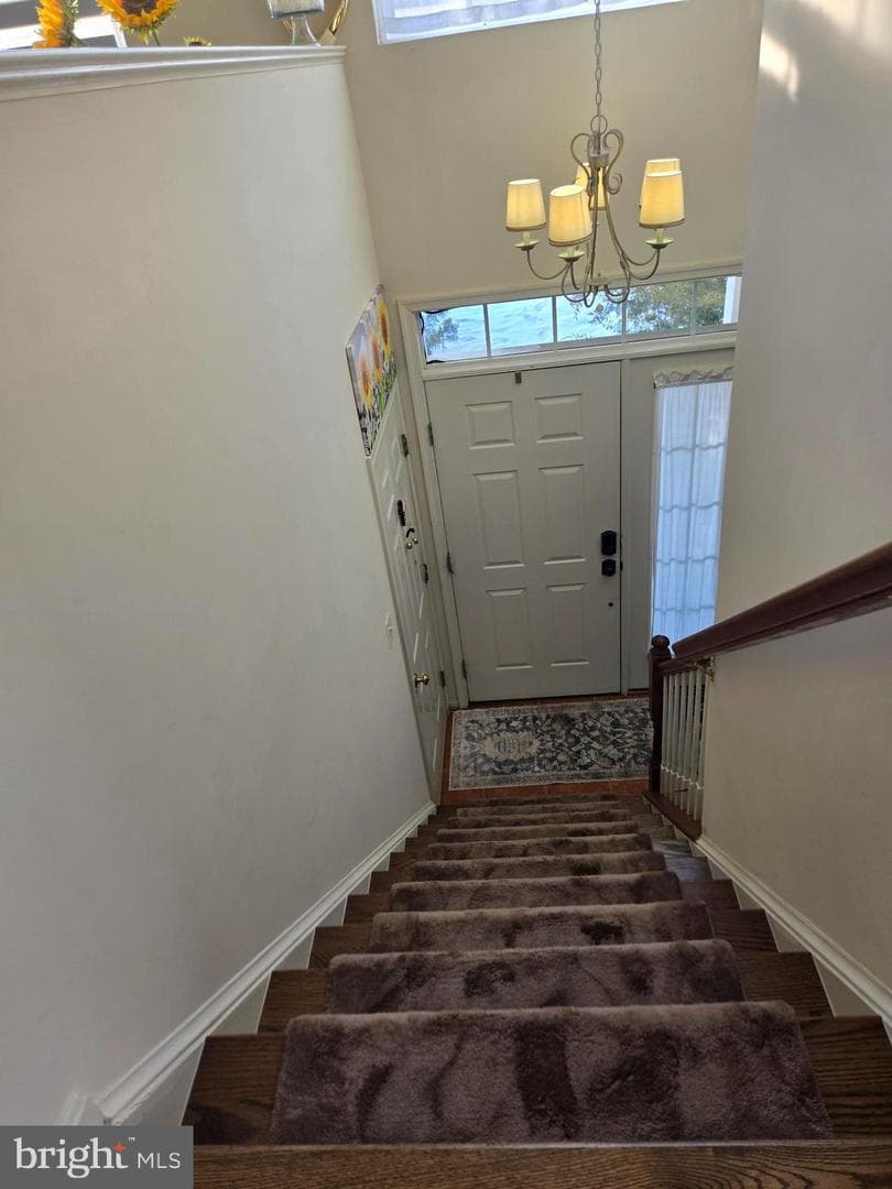 9254 Cascade Falls Drive photo 14