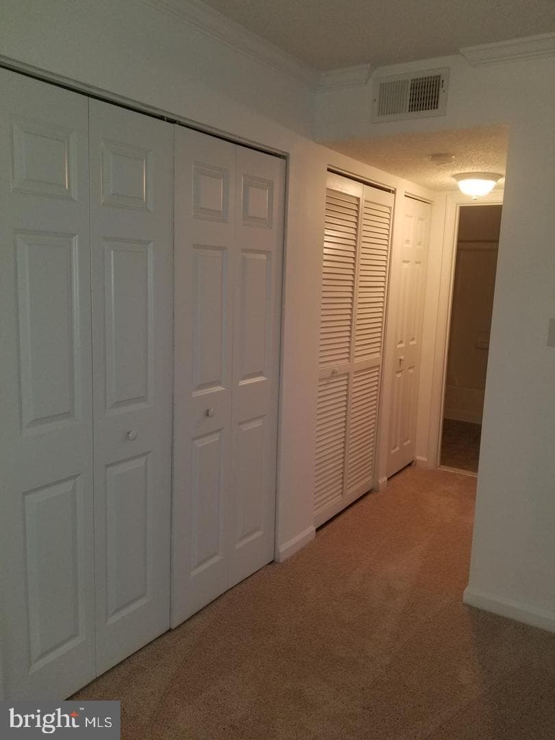 15619 Horseshoe Lane photo 15