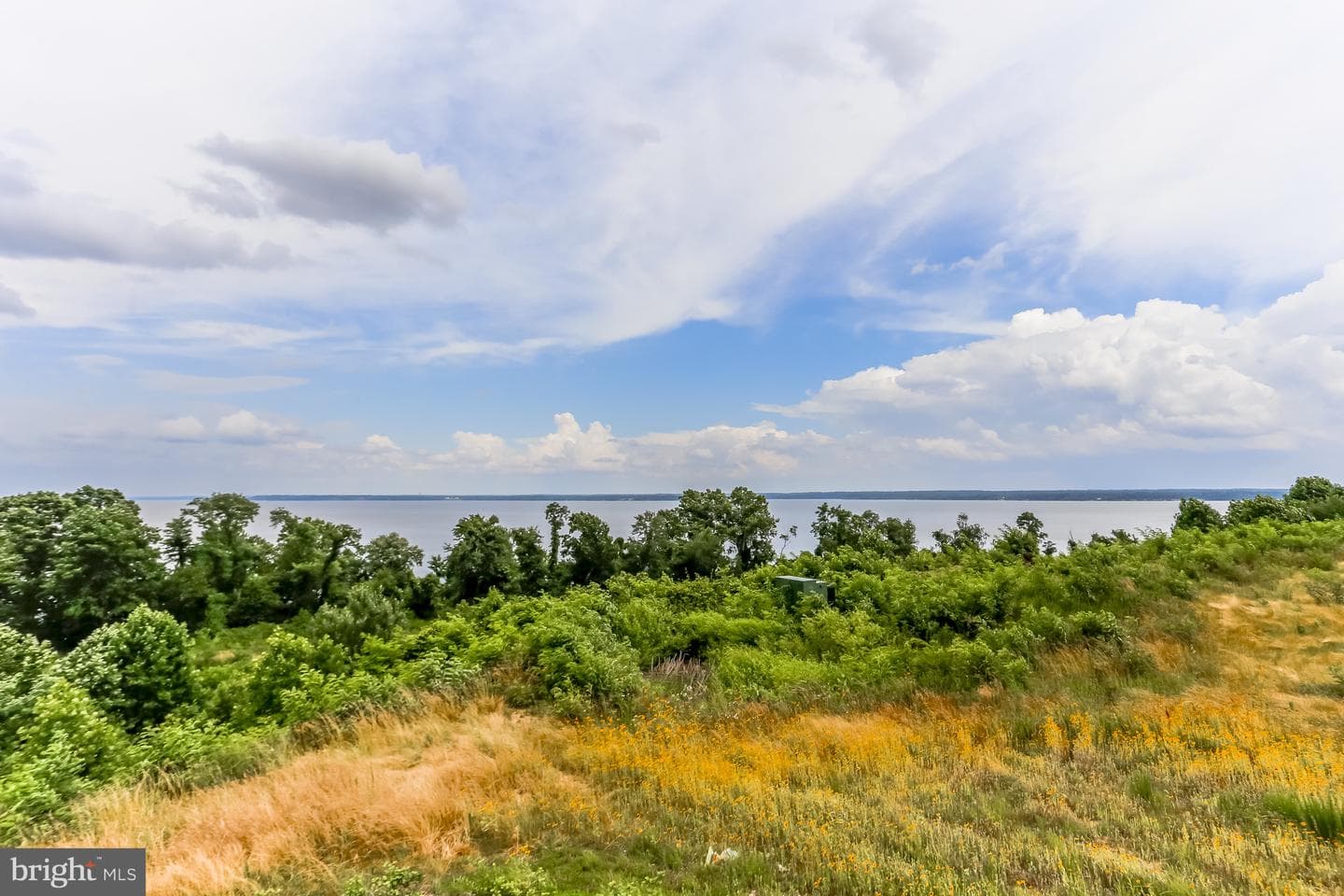 1671 Aspen Poplar Road photo 43