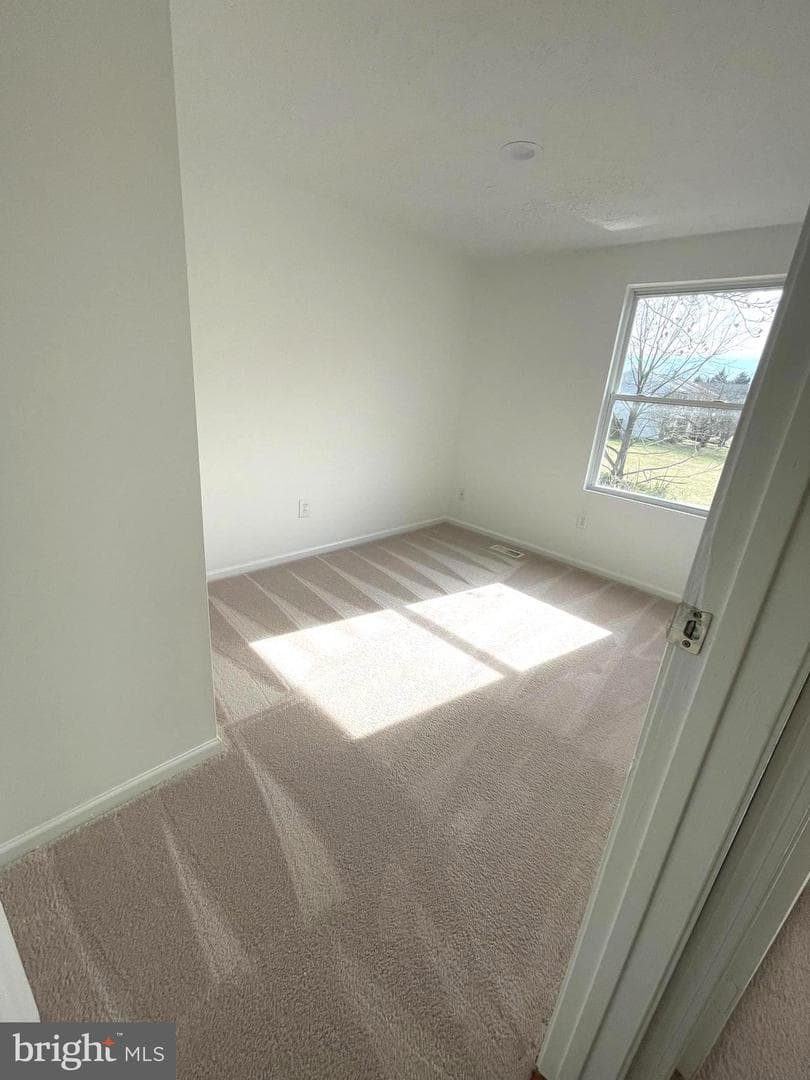 4739 Hedrick Lane photo 13