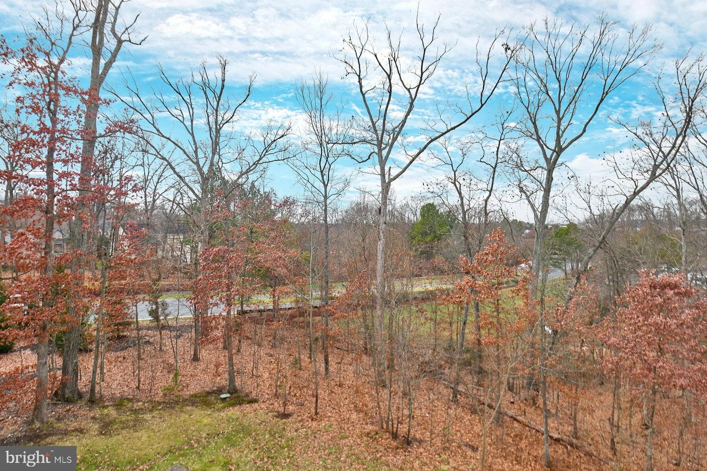 7931 Turtle Creek Circle photo 59