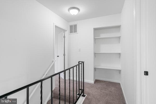 10166 Cannon Ball Court photo 16