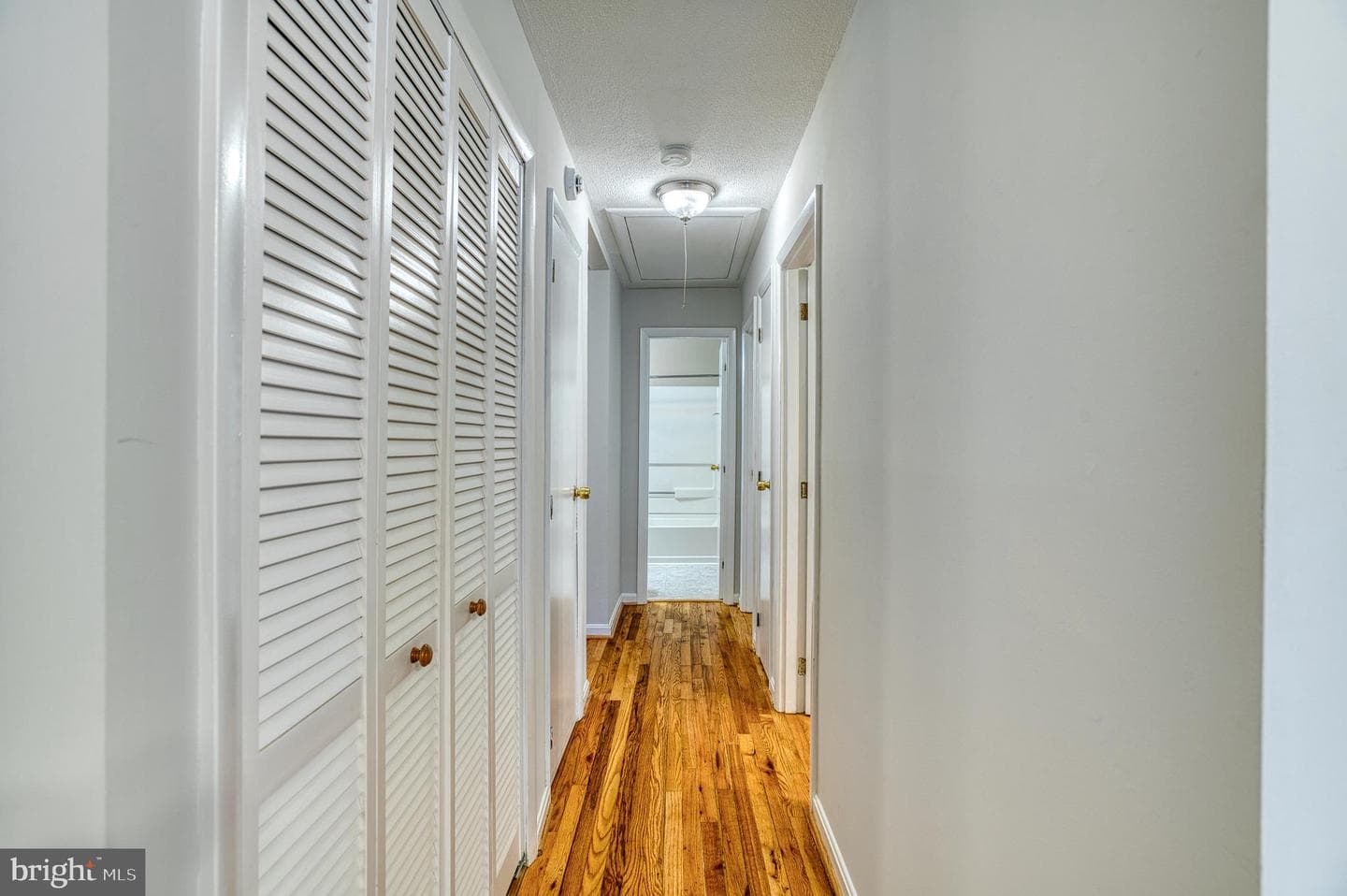 3565 Maple Street photo 16