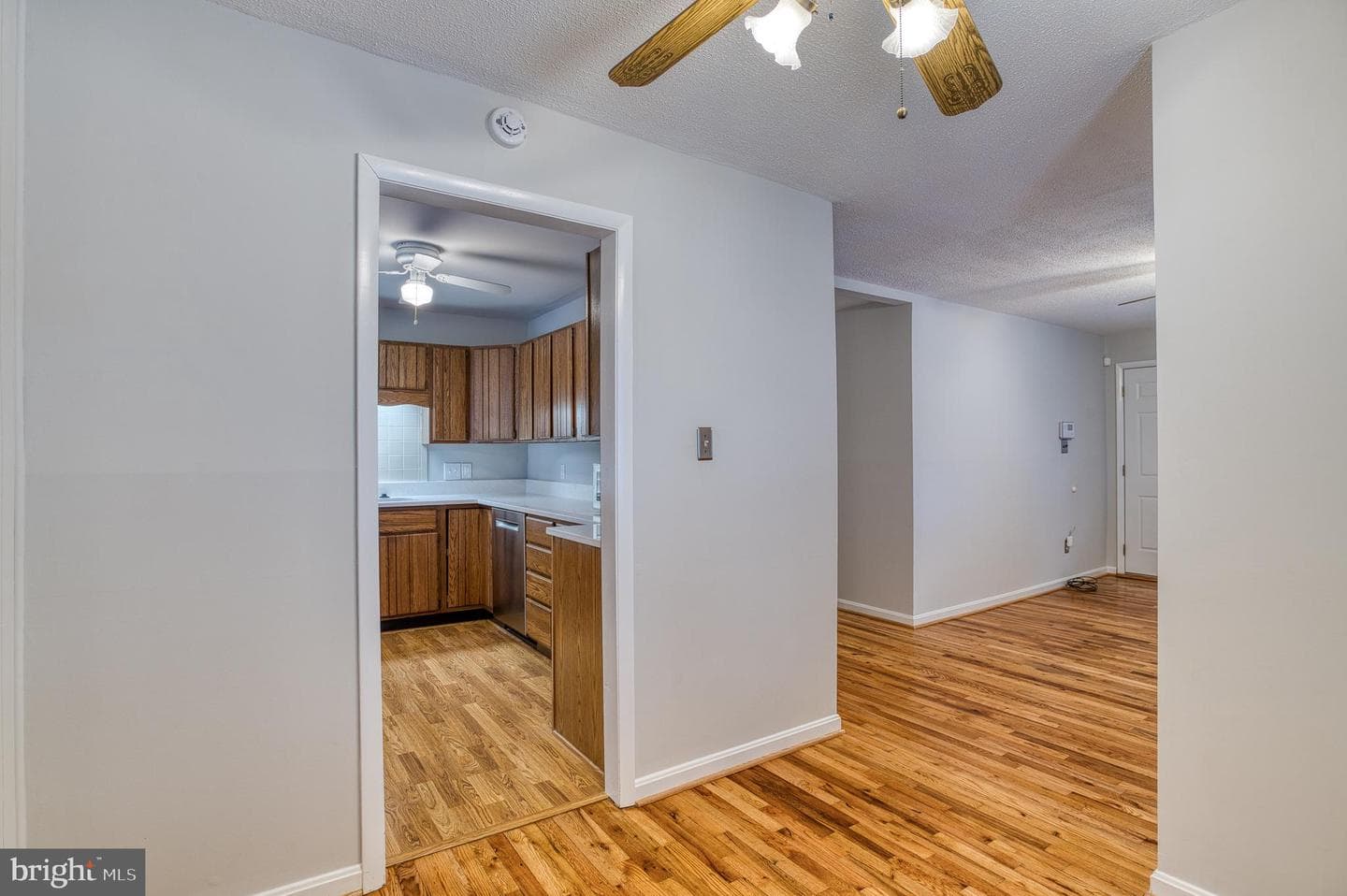 3565 Maple Street photo 7