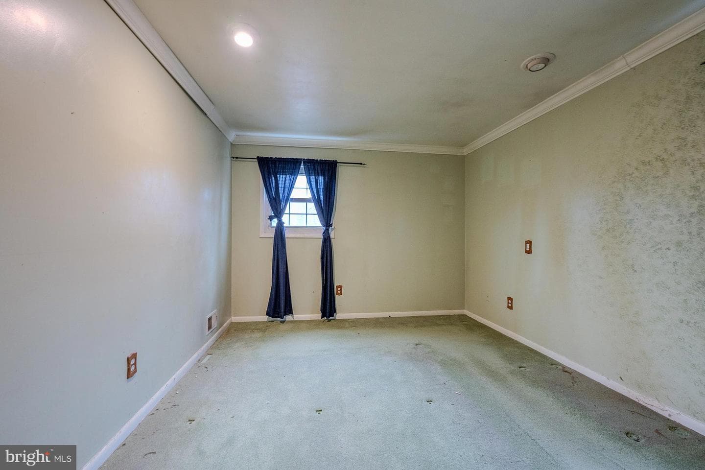 7312 Mariposa Drive photo 11