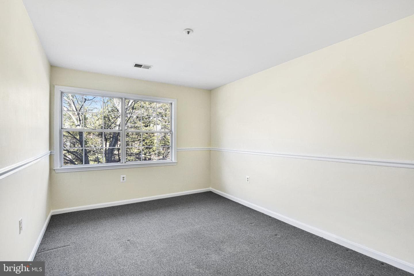 11133 Halterpath Trail photo 14