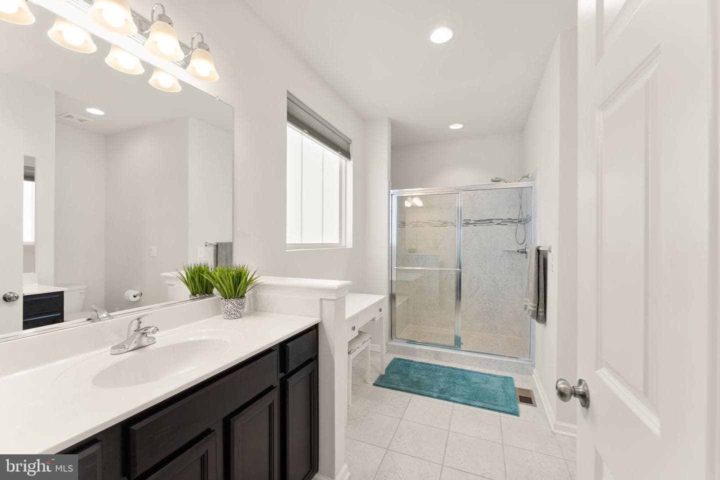 10263 Mayapple Court photo 28