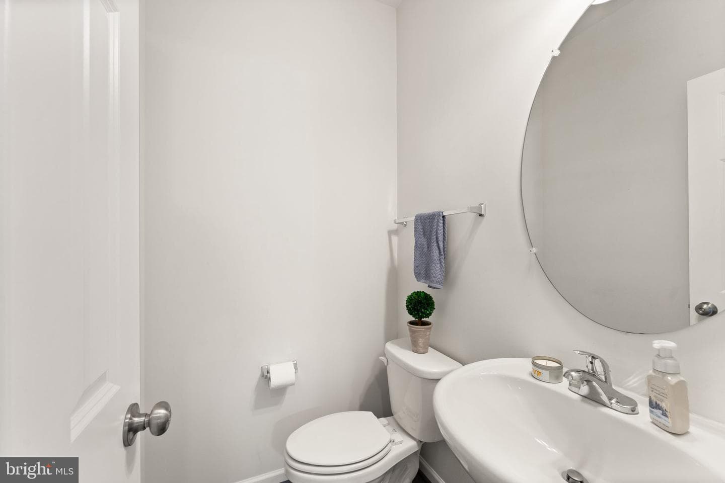 10263 Mayapple Court photo 32
