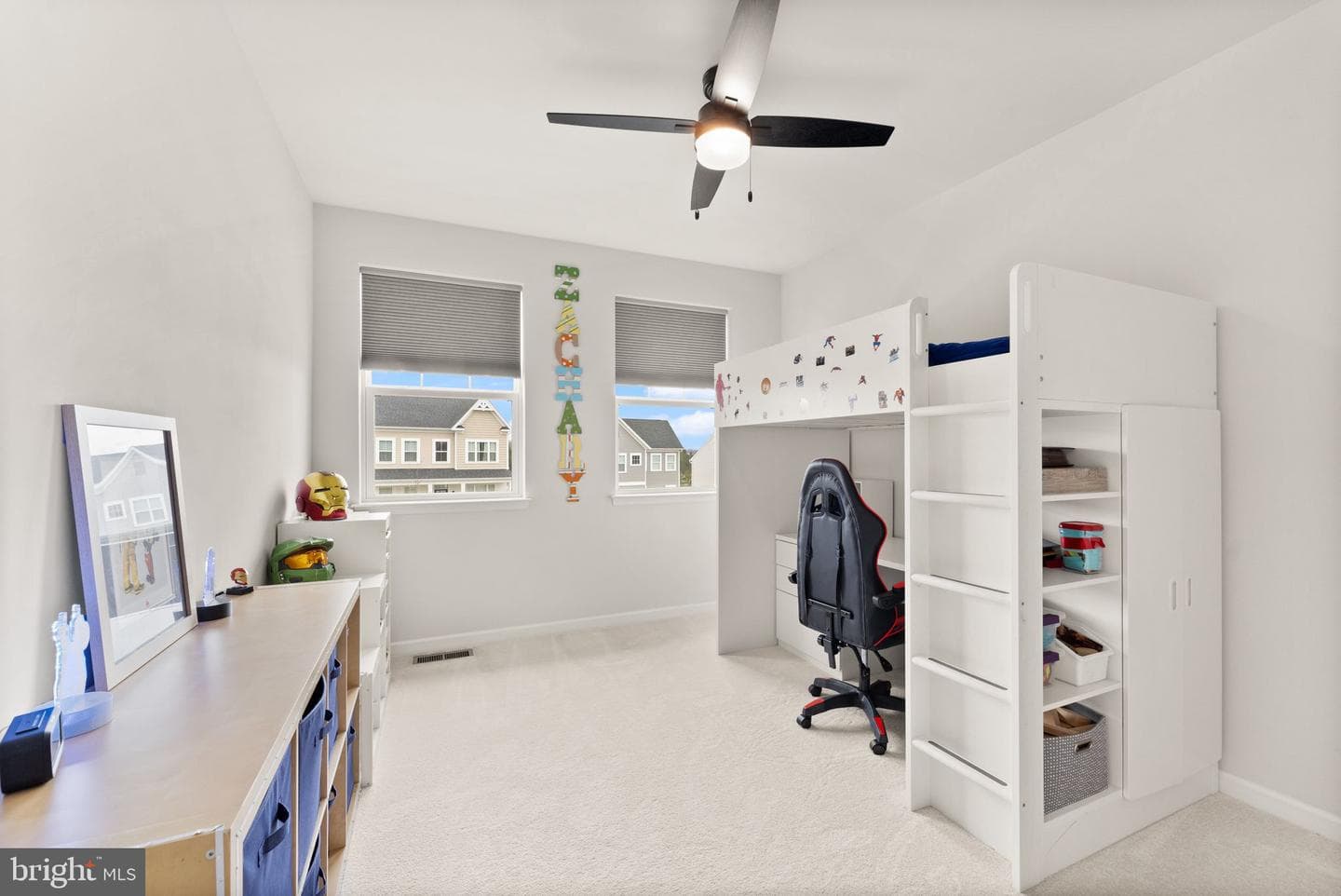 10263 Mayapple Court photo 42
