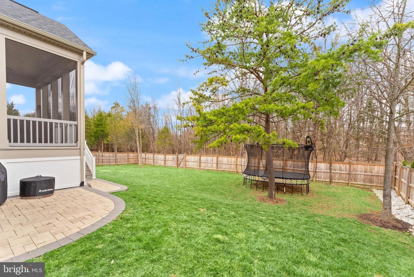 10263 Mayapple Court photo 62