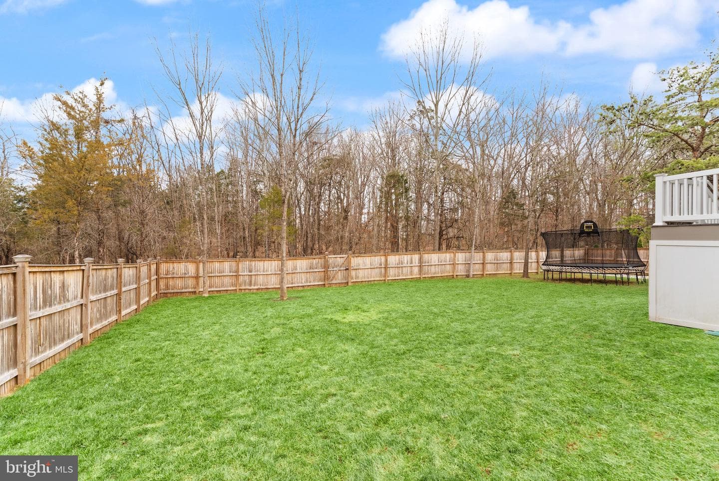 10263 Mayapple Court photo 63