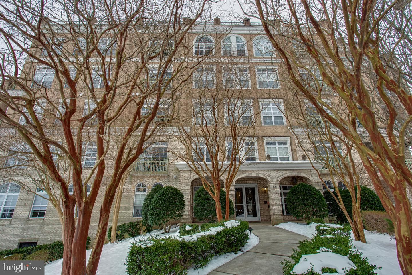810 Belmont Bay Drive #503 photo 27