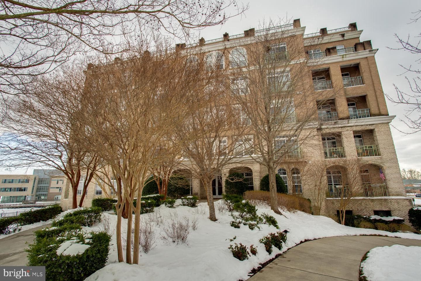 810 Belmont Bay Drive #503 photo 28