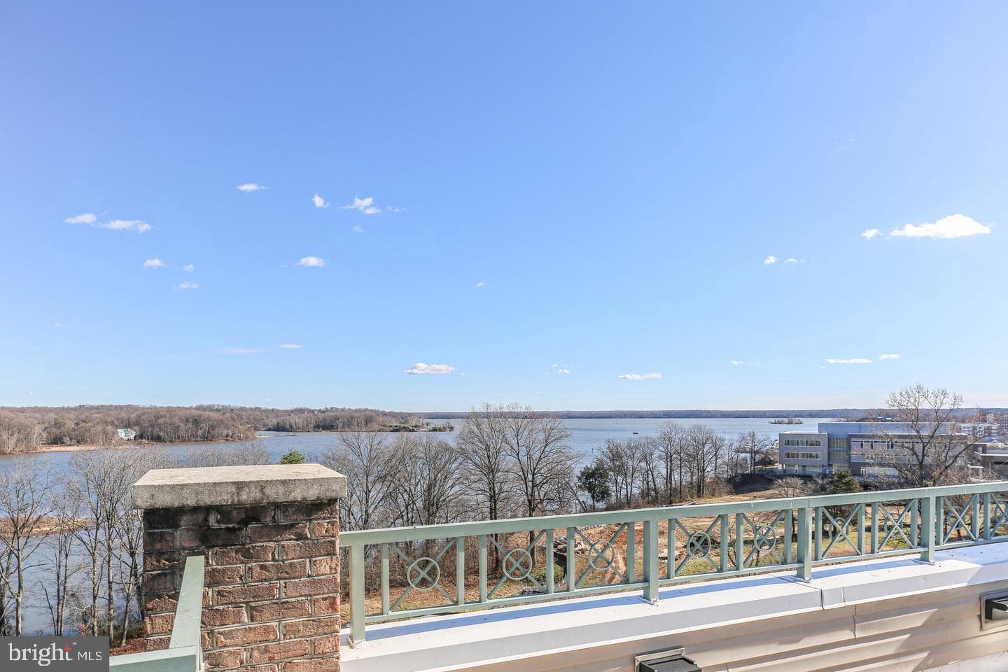 810 Belmont Bay Drive #503 photo 41