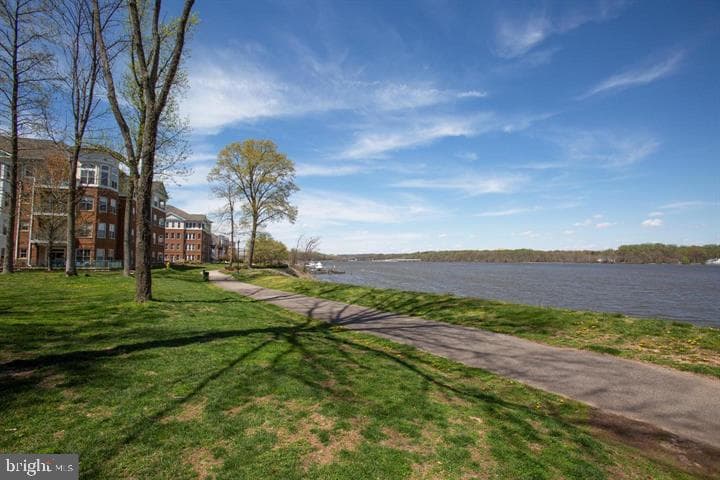 810 Belmont Bay Drive #503 photo 50