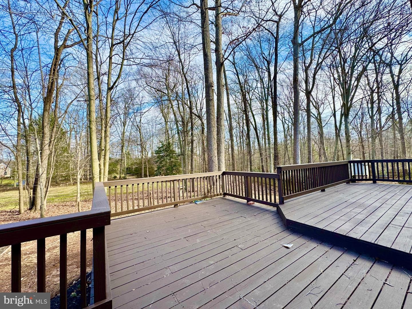 11701 Sandal Wood Lane photo 16