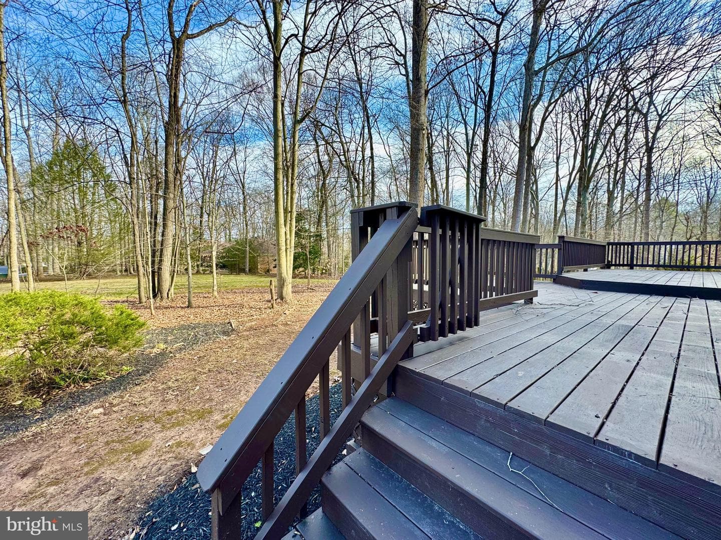 11701 Sandal Wood Lane photo 18