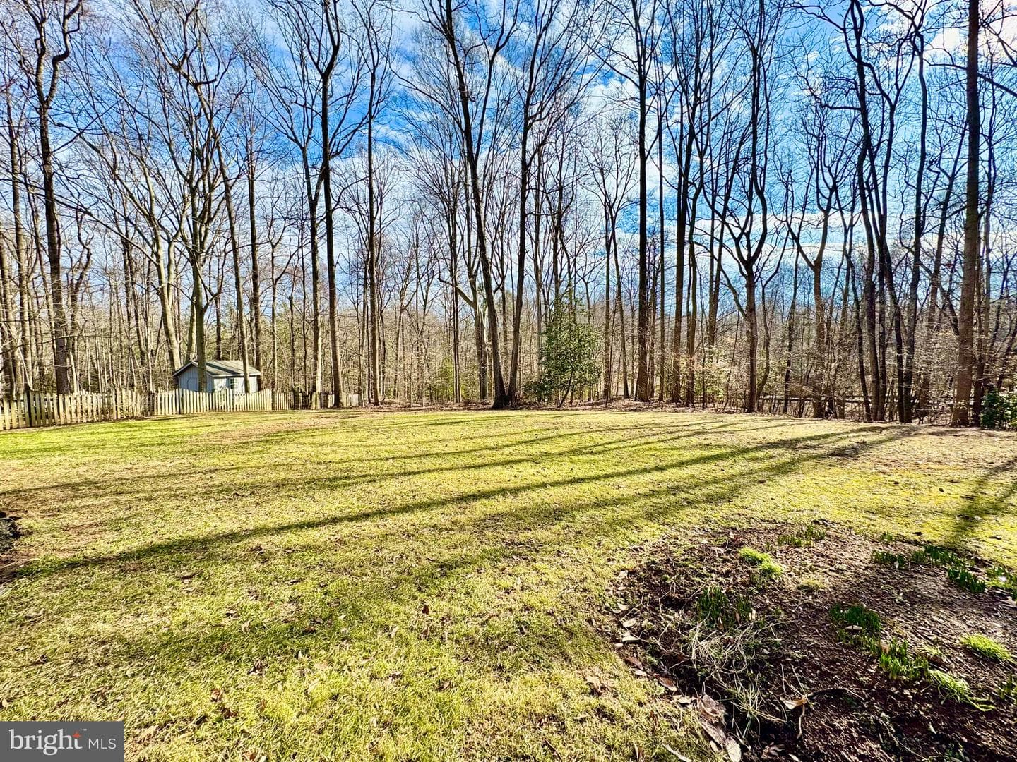 11701 Sandal Wood Lane photo 19