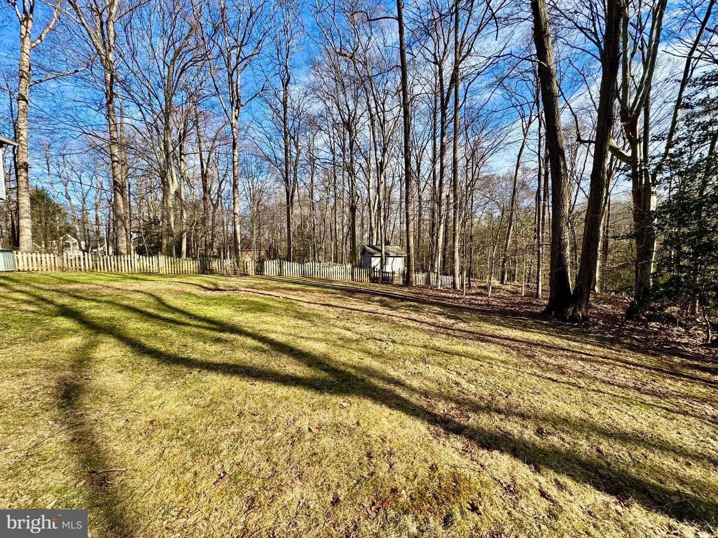 11701 Sandal Wood Lane photo 20