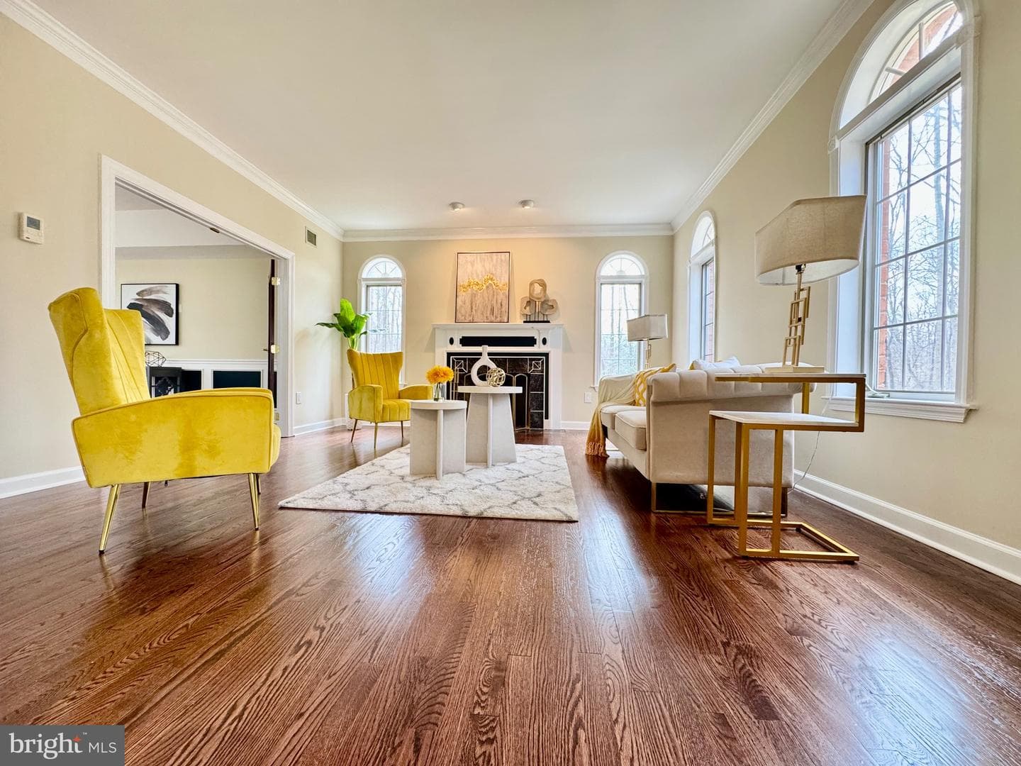 11701 Sandal Wood Lane photo 29