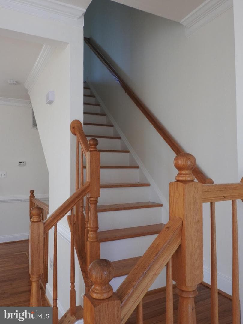 3521 Christy Lane photo 18
