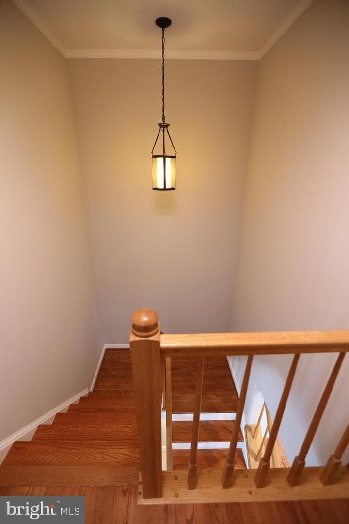 12842 Misty Lane photo 8