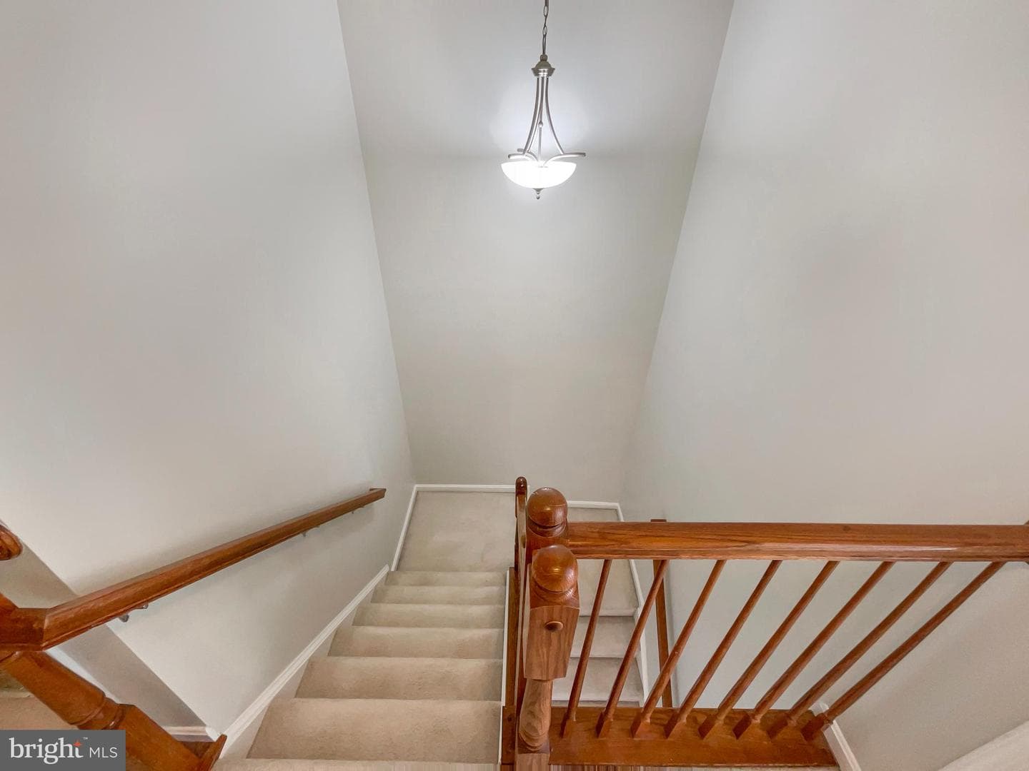 6263 Aster Haven Circle photo 19