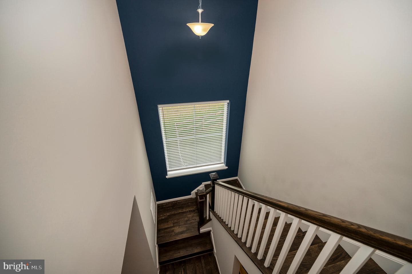 10284 Mayapple Court photo 31