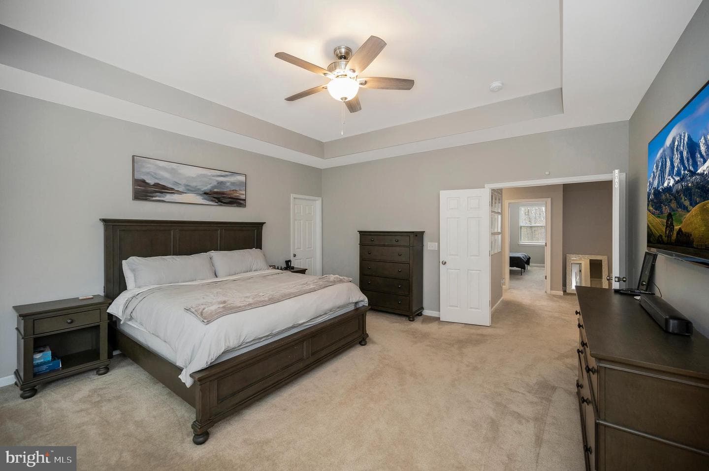 10284 Mayapple Court photo 35