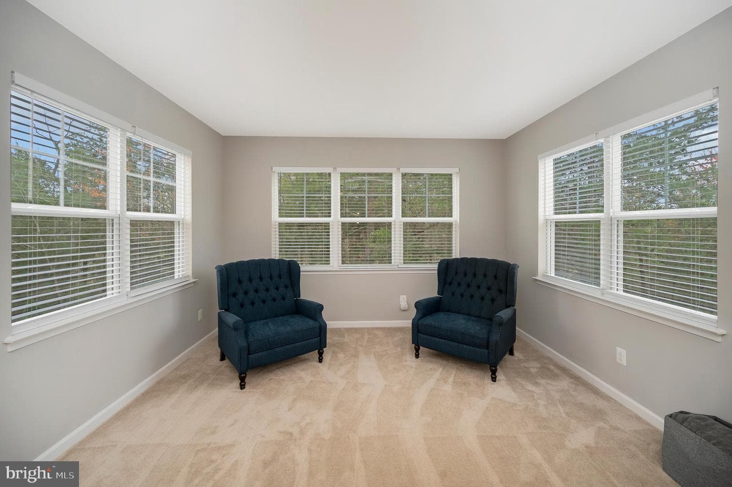 10284 Mayapple Court photo 36