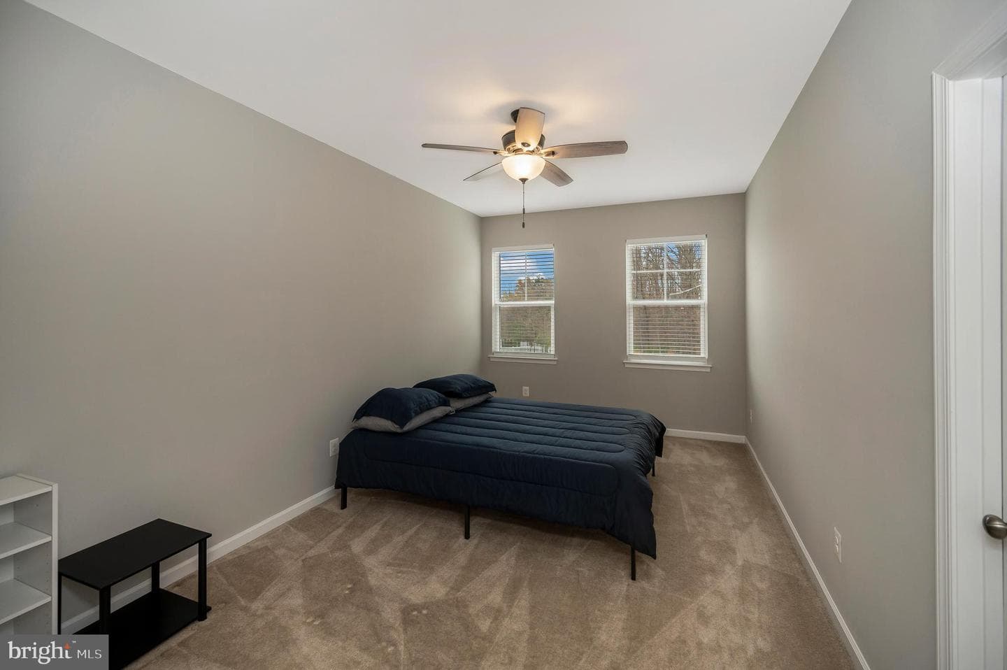 10284 Mayapple Court photo 44