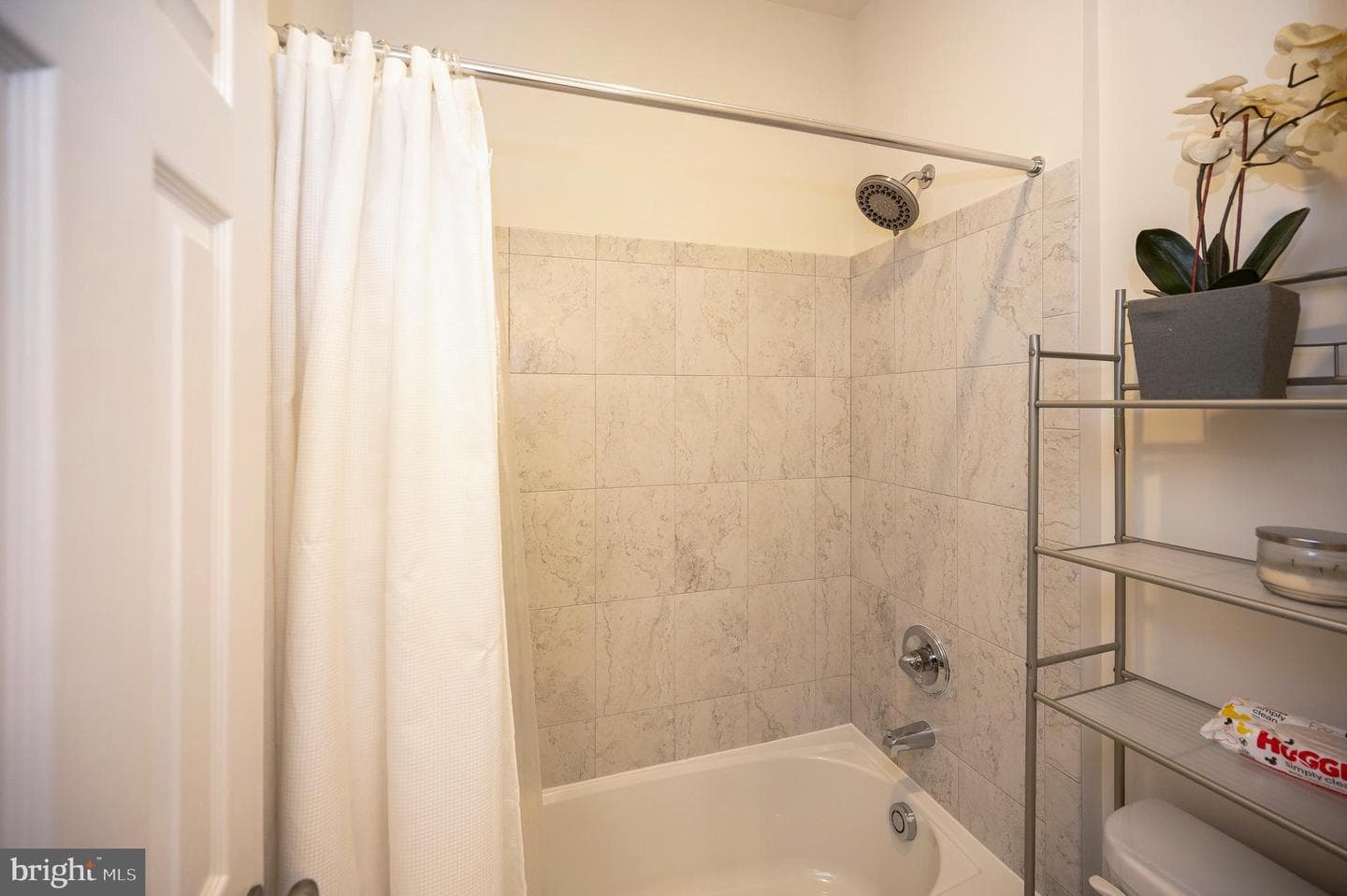 10284 Mayapple Court photo 47