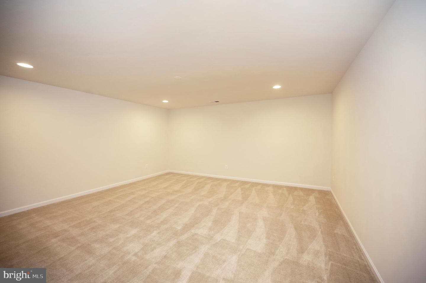 10284 Mayapple Court photo 49
