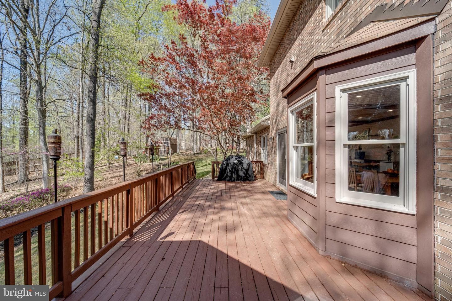 8232 Honeysuckle Road photo 53