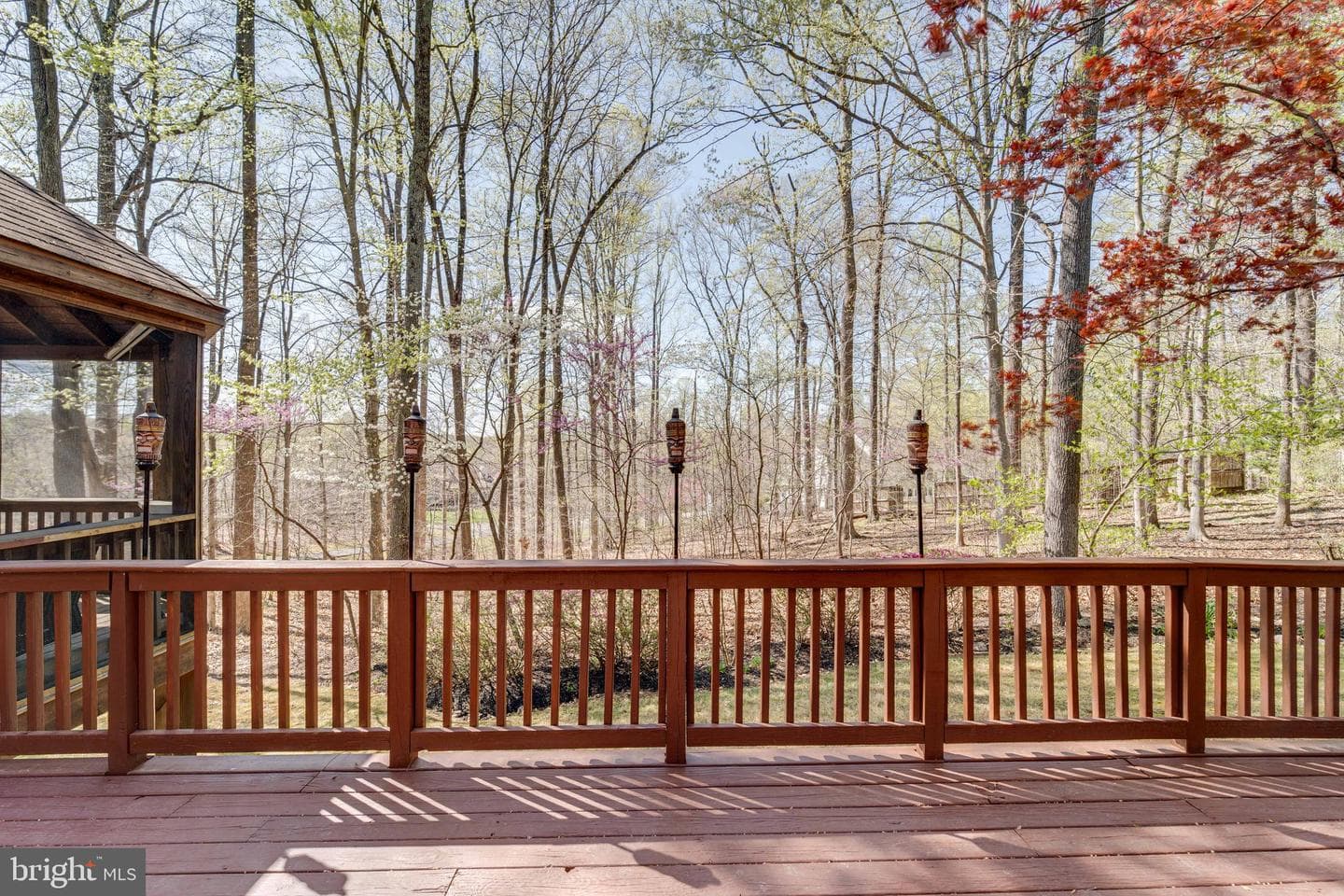 8232 Honeysuckle Road photo 54