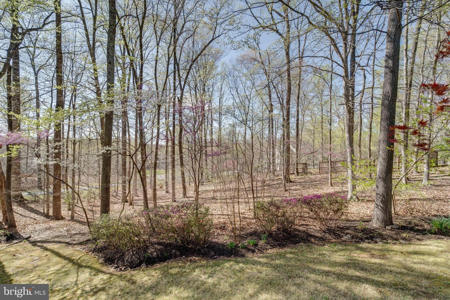 8232 Honeysuckle Road photo 67