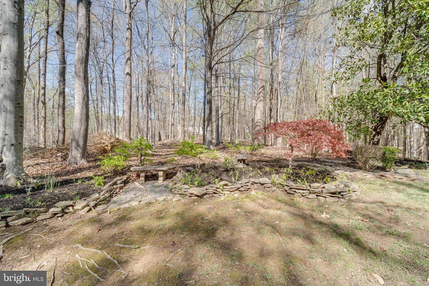8232 Honeysuckle Road photo 68