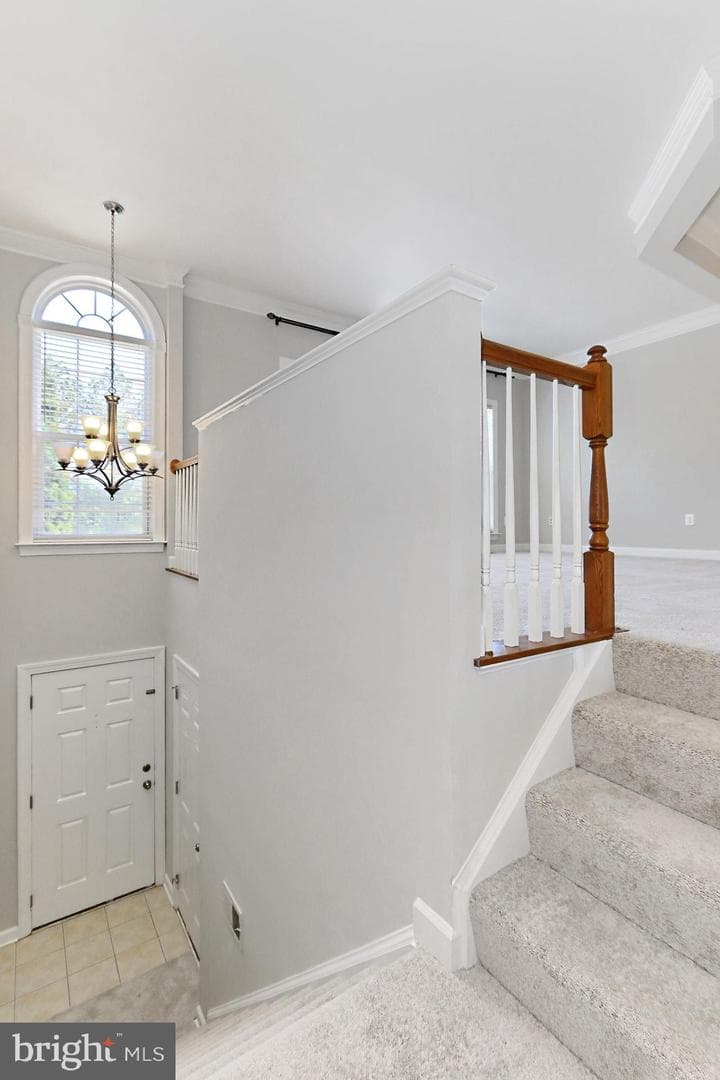 6090 Popes Creek Place photo 19