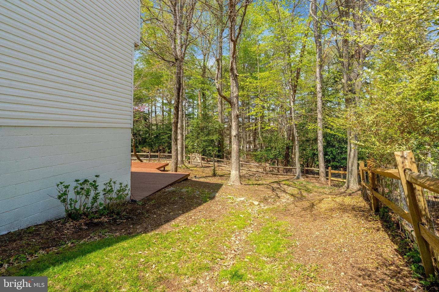 3517 Mount Burnside Way photo 51
