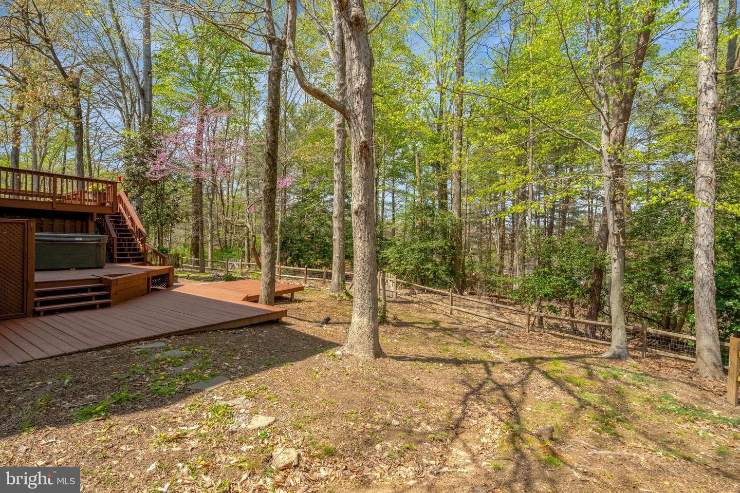 3517 Mount Burnside Way photo 53